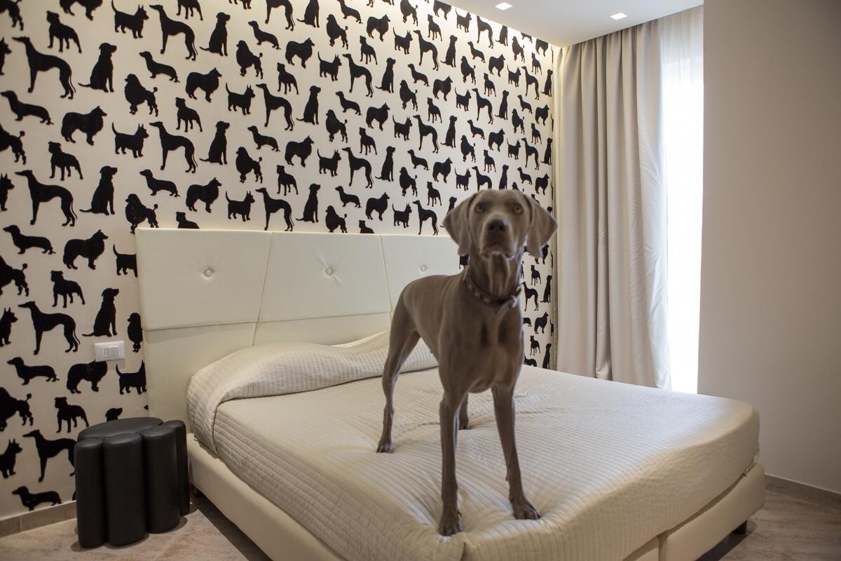 Hotel Principe Rimini Eksteriør billede