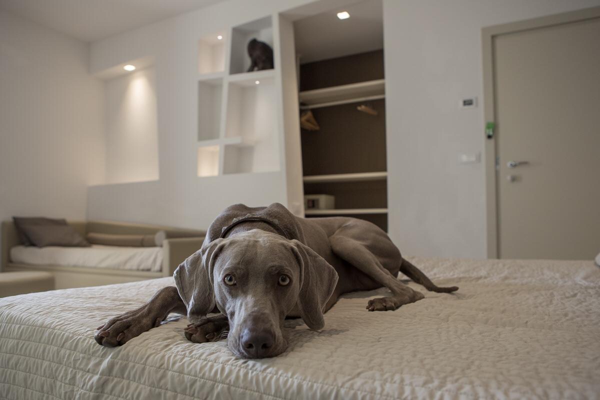 Hotel Principe Rimini Eksteriør billede